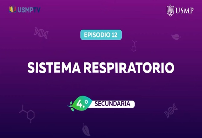 Capítulo N° 12 - Sistema Respiratorio